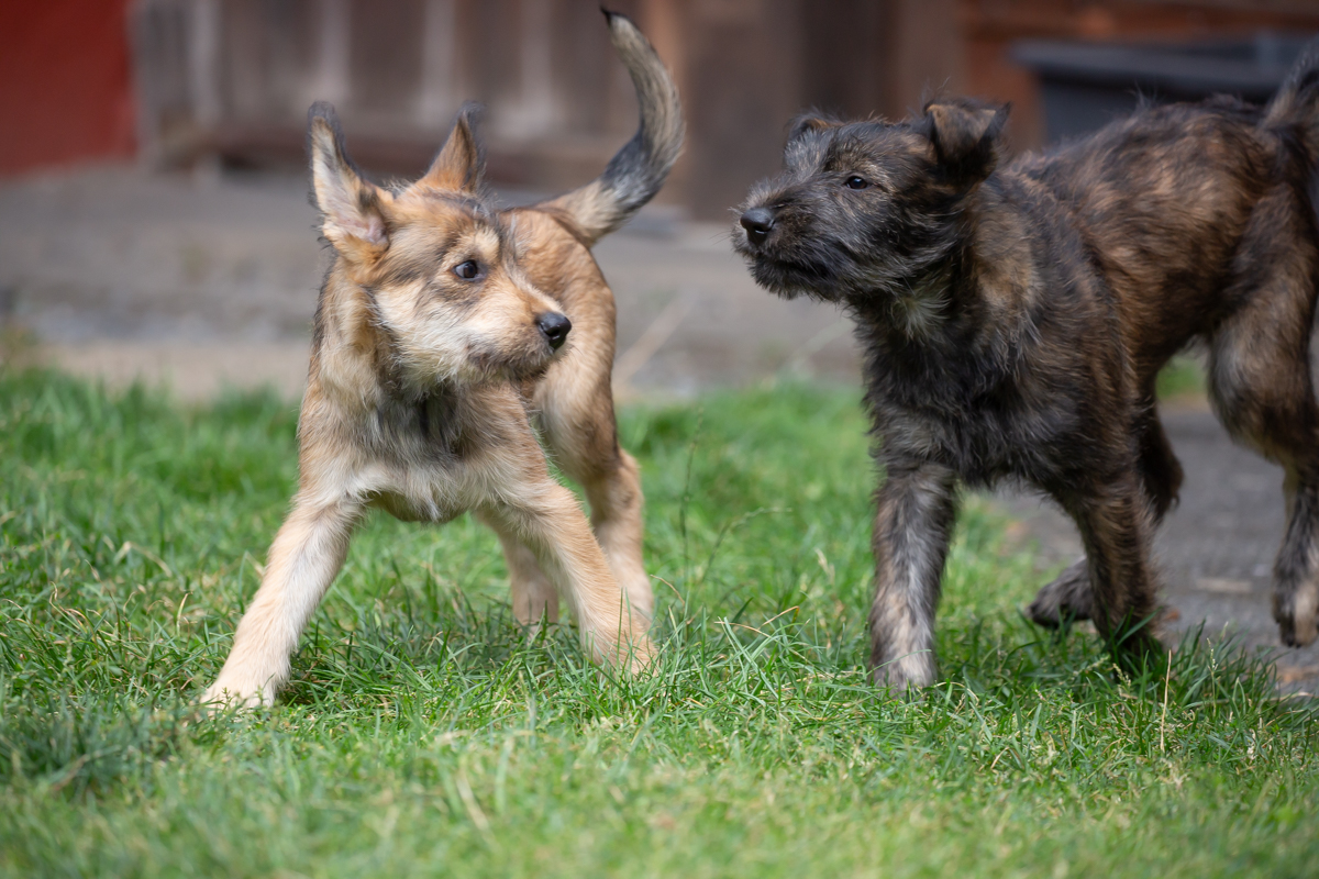 Tilda und Carla